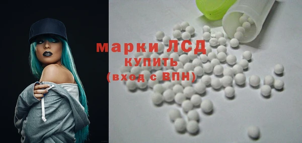 apvp Алзамай