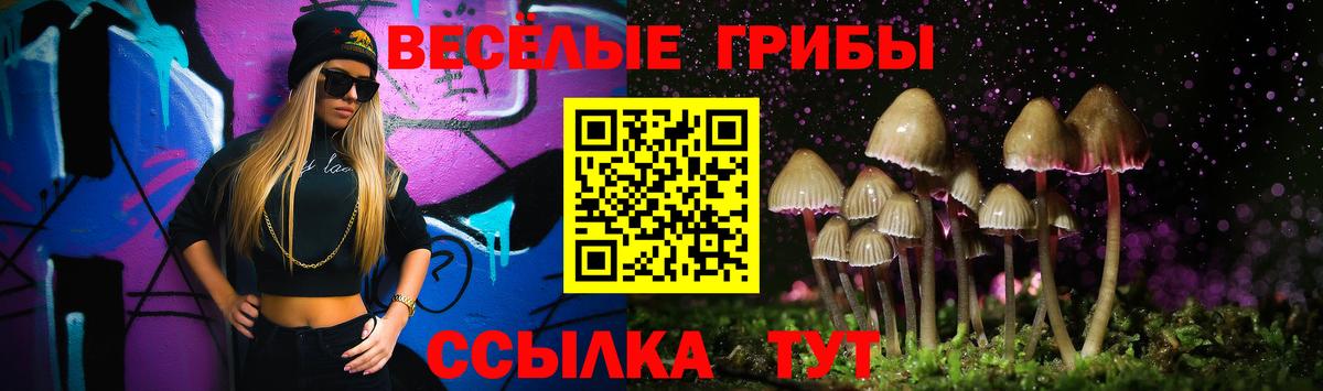 Псилоцибиновые грибы MAGIC MUSHROOMS Морозовск
