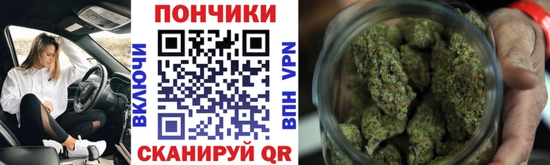 Канабис ГИДРОПОН  закладка  Морозовск 